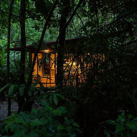 Hamadryade Lodge Puerto Misahuallí Extérieur photo
